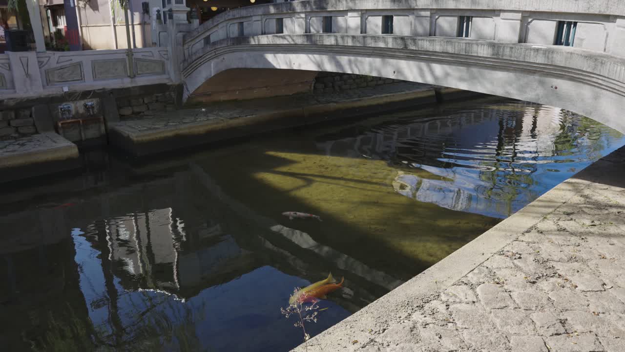 каменный мост и канал в кино-саки онсэн, рыбки кои в спокойной обстановке
