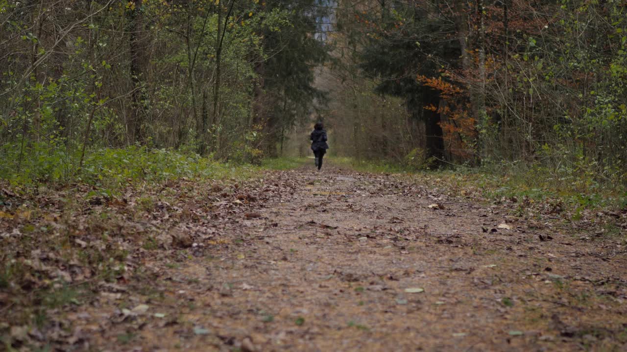 Female jogger disappears in the distance during her morning run through the forest - Backview
