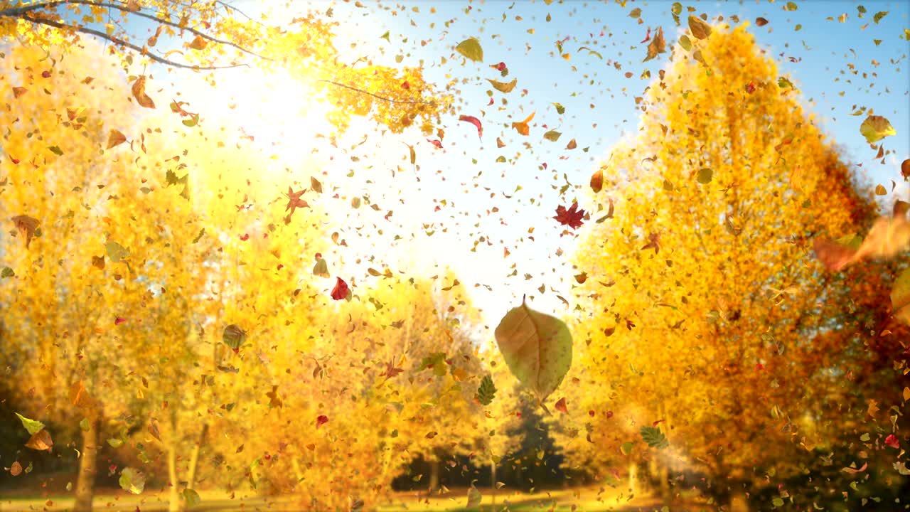 otoño mágico - 4k 60 fps impresión de otoño poético video bucle de fondo