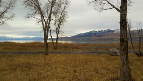 flying between betwen trees over a grass field then over a vast lake beneath the snowy mountains