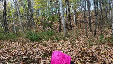 Little-girl-in-pink-hooded-jacket-bends-over-to-pick-up-leaves-and-tosses-them-up-SLOW-MOTION