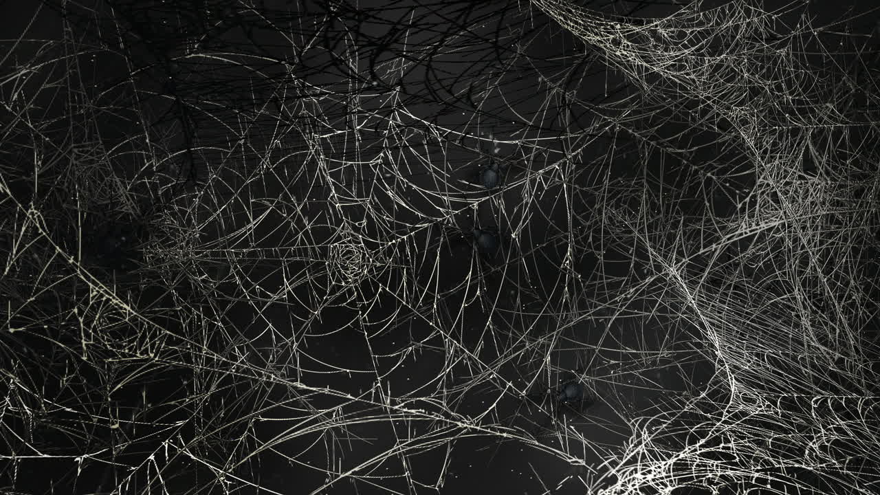 Mystical horror background with dark spiderweb and motion camera