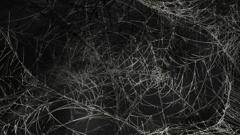 mystical horror background with dark spiderweb and motion camera