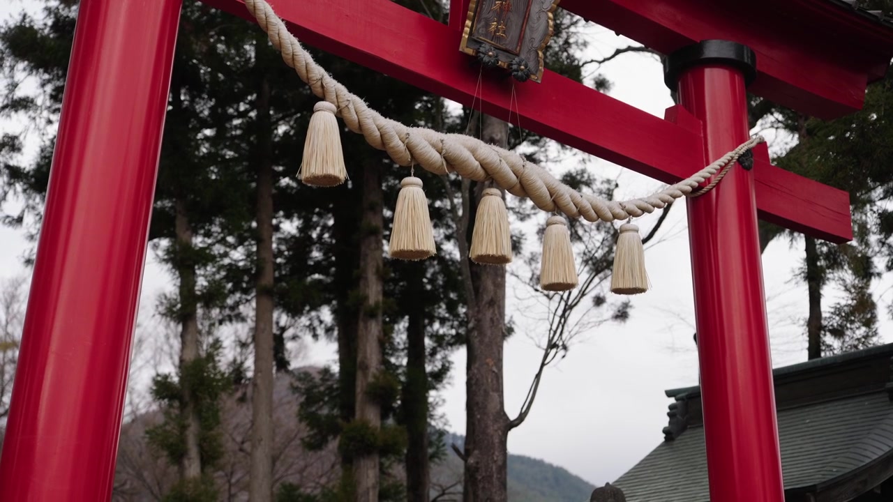 Nærbillede af rød torii-port med hængende shimenawa-rebskvaster og fyrreskov bagved.