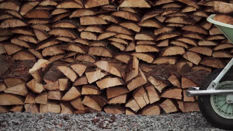 dumping freshly cut logs from the wheelbarrow to stack into single rows