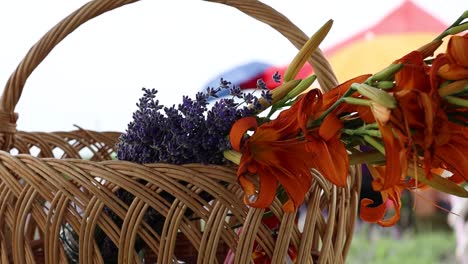 Lavendel-Und-Rote-Sternguckerlilie-Auf-Dem-Weidenkorb