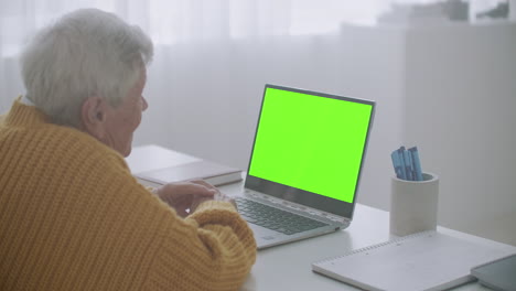 una mujer mayor mira un monitor con una pantalla verde y habla a través de un enlace de video con su nieta o hija o un médico. ayuda de video para los ancianos. la abuela usa una computadora portátil