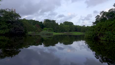 Plano-Panorámico-Del-Paisaje-Del-Jardín-Botánico-De-Singapur