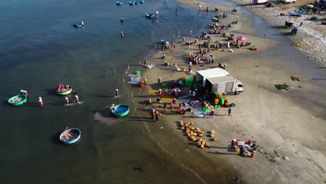 Vista-Aérea-Hacia-Atrás-De-Personas-Cargando-Camiones-Con-Mariscos-En-El-Puerto-De-La-Playa-Donde-Los-Camiones-Pueden-Acercarse-A-Los-Barcos-Coracle