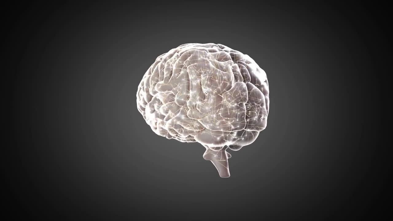 Animation of digital brain model with neural network connections on dark background