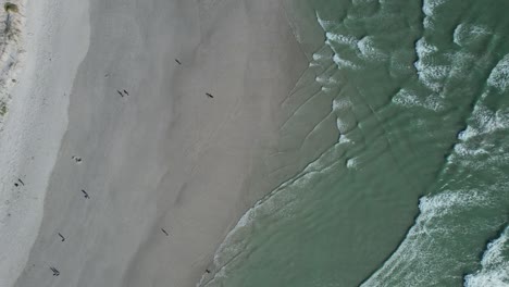 Antena-De-Arriba-Hacia-Abajo-De-Las-Olas-Del-Océano-Turquesa-En-La-Playa-De-Big-Bay,-Sudáfrica