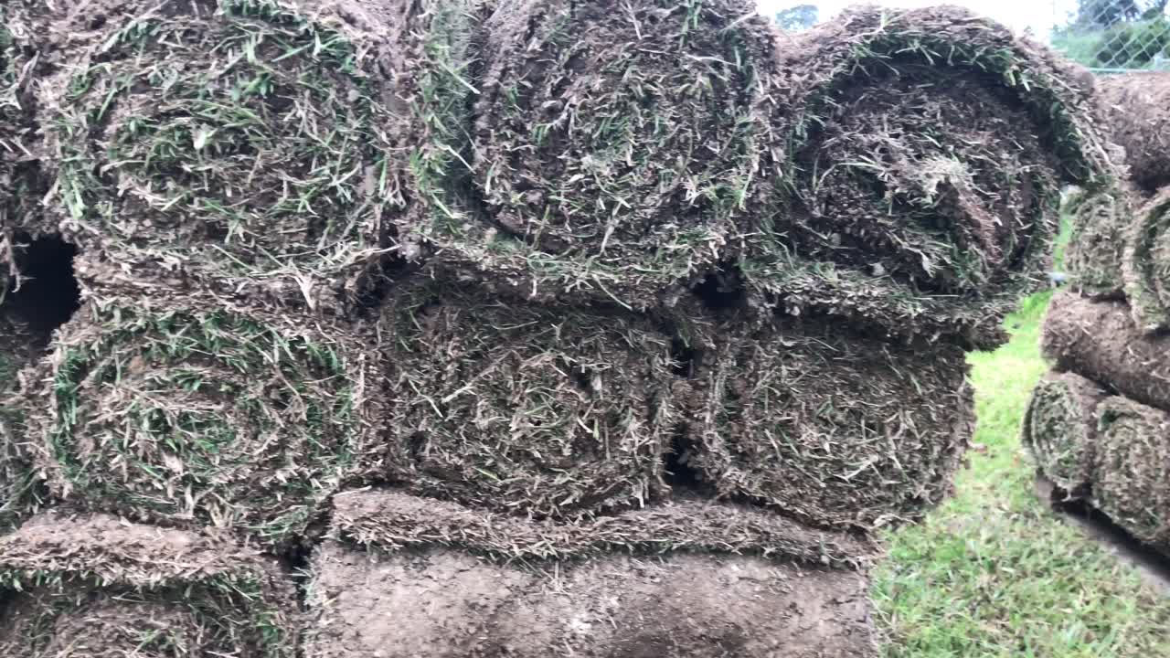 뉴질랜드 오클랜드에 저장하기 위해 잔디를 자르고 말아서 운송할 준비가 되었습니다.