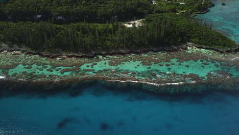 aerial view overlooking details in emerald clear waters on the coast of the mare island, in new caledonia - tracking, drone shot