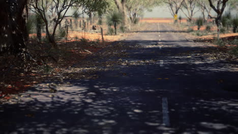 Outback-Straße-Mit-Trockenem-Gras-Und-Bäumen