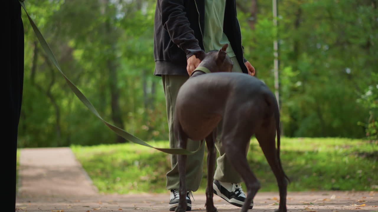 Someone Shares Food During Joyful Outdoor Event, Individual Provides Reward To Dog Amidst Cheerful Outdoor Celebration, Person Extends Reward To Dog During Lively Outdoor Gathering Of Friends