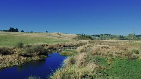 aerial view footage of a swamp lake river with green grass in a rural area of south africa