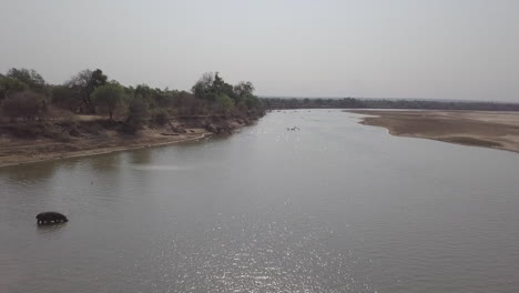 Africa-aerial:-Lone-Hippo-wades-in-shallow-water-of-Lupande-River