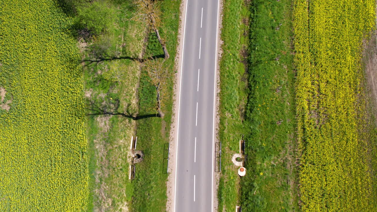 꽃 피는 라프시드  ⁇  사이에  ⁇  길이 있는  ⁇ 은 거리 위에서 위아래로 날아다니는 항공기