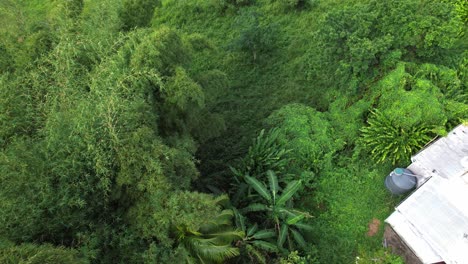 Verdant-Vegetation-Near-Wooden-Structure-On-Rural-Mountains