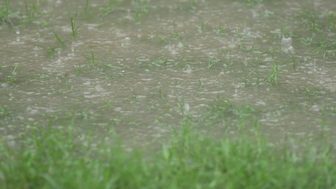 In the rainy season, eastern India receives heavy rainfall during the rainy season