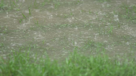 en la temporada de lluvias, el este de la india recibe fuertes lluvias durante la temporada de lluvias