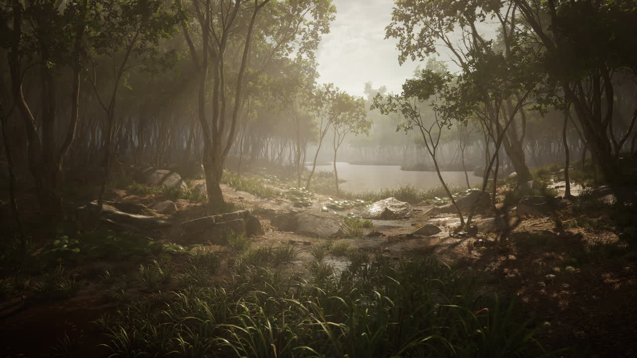 en un estanque de bosque con niebla