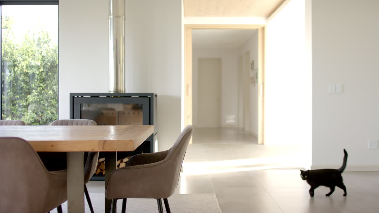 A black cat walking across modern dining room with a wooden table and chairs