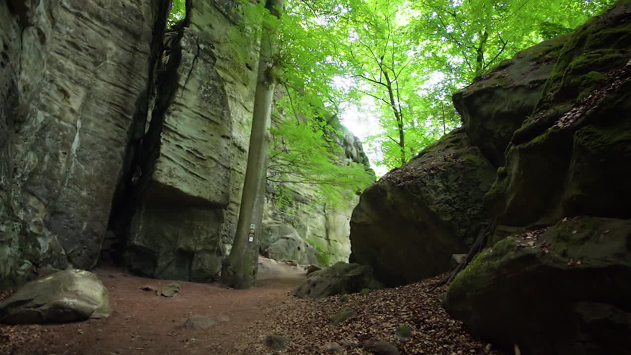 Right-to-left shot along a wide forest path from Teufelslucht (Devil's Gorge) flanked by rocky walls. A central tree with trail signs stands on earthy forest ground.