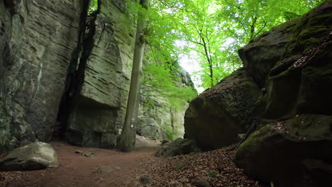 right-to-left shot along a wide forest path from teufelslucht (devil's gorge) flanked by rocky walls. a central tree with trail signs stands on earthy forest ground.