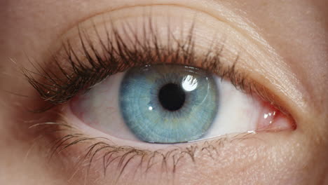 close-up-macro-blue-eye-opening-natural-human-beauty-healthy-eyesight