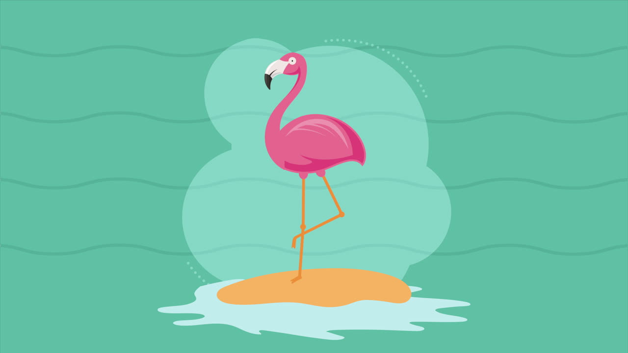 플랑드르의 이국적인 동물 조류 애니메이션