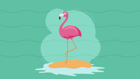 animación flamenca de animales y pájaros exóticos