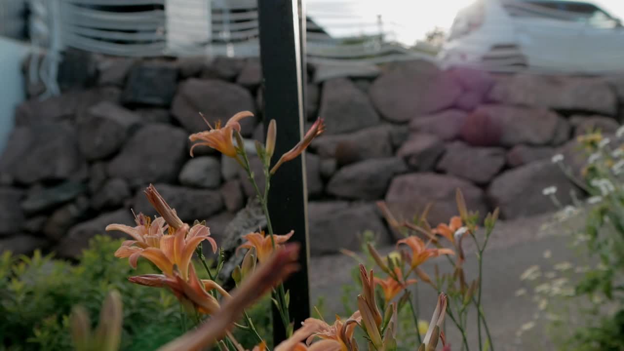 una flor de naranja en un jardín por la noche