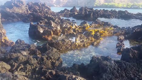 olas rompiendo en pozas de marea en la isla grande de hawaii