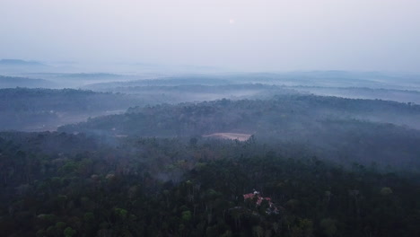 4K-FOGGY-SUNRISE-IN-KODAGU-PEPPER-FIELDS,-KARNATAKA,-INDIA