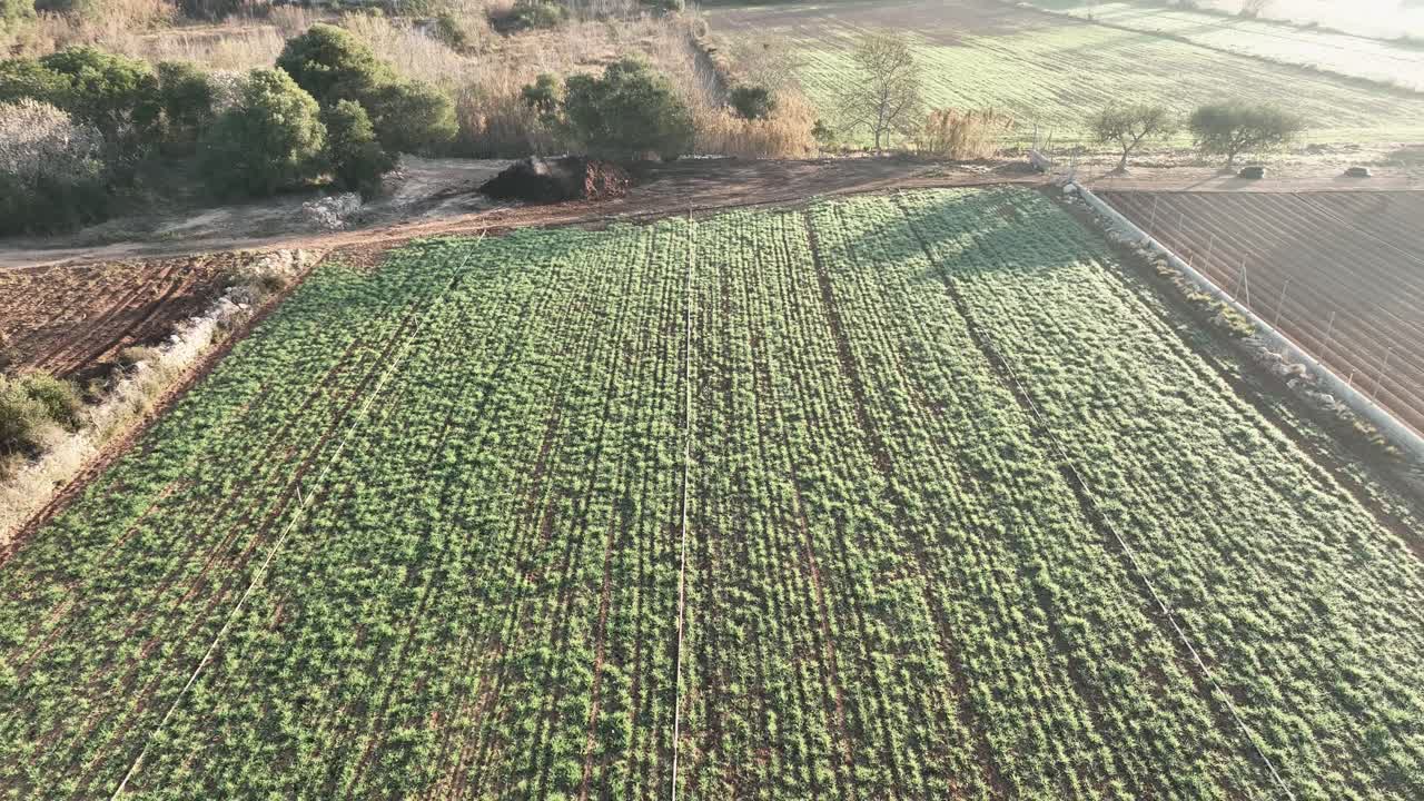una toma aérea hecha con alejamiento por encima de los cultivos plantados en los campos de españa