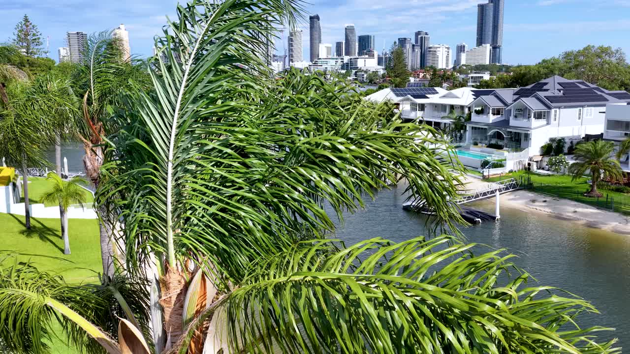Wind blows palm trees near luxury canal homes, modern skyline visible, bright daylight, steady camera