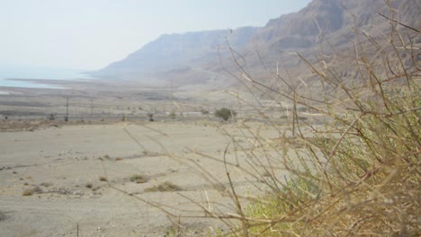 Ein-Blick-Auf-Das-Tote-Meer-Und-Seine-Zurückweichende-Küstenlinie,-Mit-Getrockneter-Vegetation-Im-Vordergrund