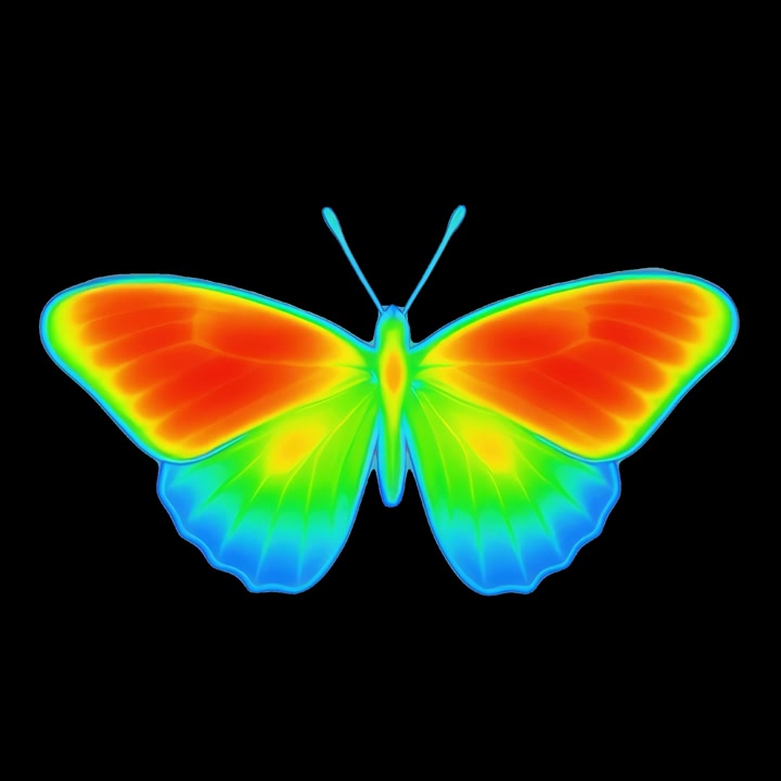 Farfalla animata con effetto colore termico arcobaleno su sfondo nero