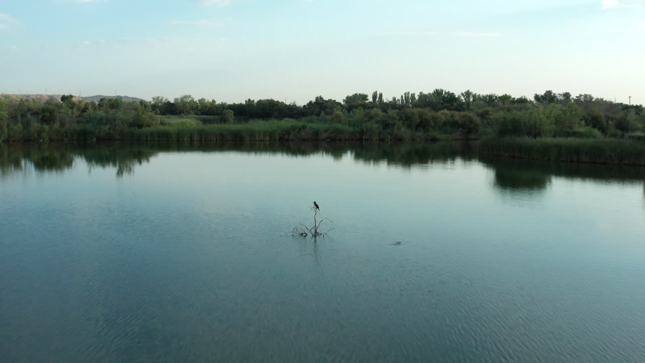 picón de los conejos에 있는 호수와 놀란 새