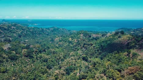 fly over green jungle forest with a view of the ocean in the comoros - aerial shot
