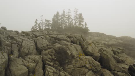 Dense-fog-pine-trees-beyond-coastal-rocky-shoreline-Western-Head-Preserve,-Maine