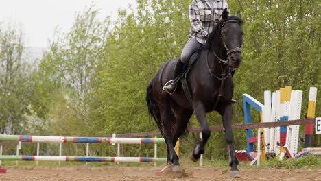 young woman and black horse on a obstacle track