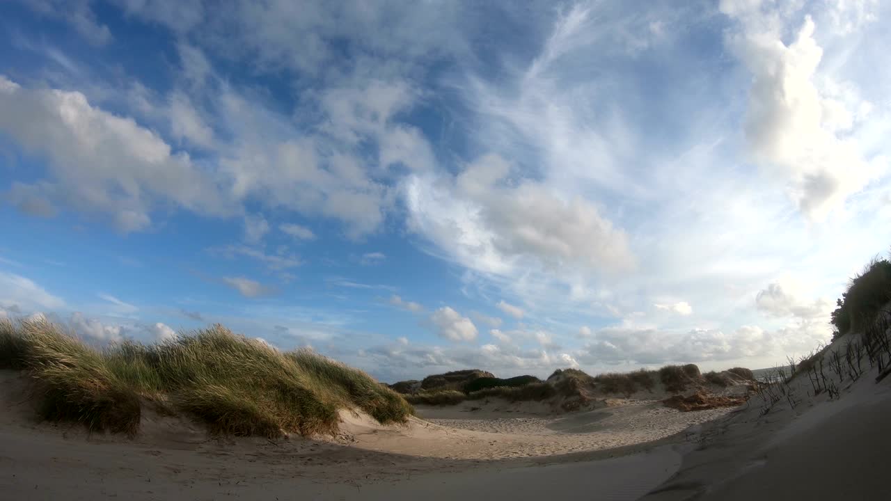 Sand dunes with dune grass in the storm of the North Sea, hiking dunes, dike protection, Sondervig, Jutland, Denmark, 4k