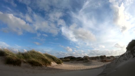sand dunes with dune grass in the storm of the north sea, hiking dunes, dike protection, sondervig, jutland, denmark, 4k