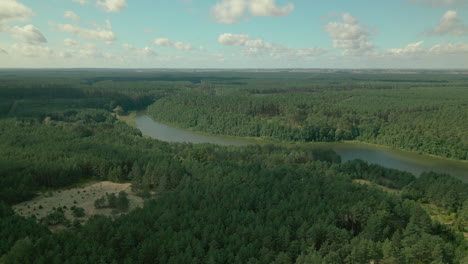 Slow-Aerial-fly-over-a-dense-green-leafy-deciduous-forest-of-Kowalskie-Blota-village-day-time,-north-central-Poland,-forward-motion,-drone-shot,-beautiful-cloudscape-Okierskie-lake