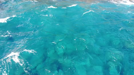 zoom-in-to-see-turtle-diving-near-the-volcanic-cliffs-of-south-east-hawaii-island