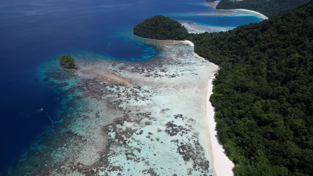 Flying above turquoise waters, white sandy beach and amazing coral reefs in Raja Ampat, Wayag, Indonesia