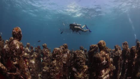 diver swimming across underwater museum, musa artificial reef sculptures. isla mujeres, mexico.