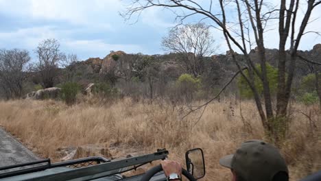 Pirschfahrt-In-Einem-Alten-Range-Rover-In-Simbabwe,-Afrika